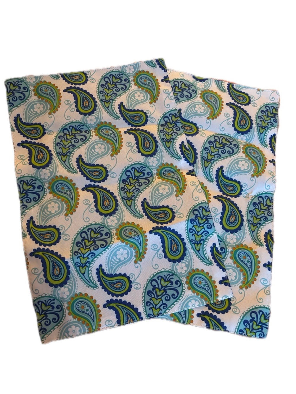 Blue and Green Paisley Kitchen Placemat Set